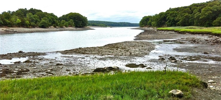 Weymouth_Back_River_from_shore_Great_Esker_Park_(esker_on_right)_end_July_2012